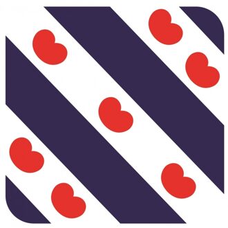 Bellatio Decorations Bierviltjes Friesland - 30x stuks - vierkant - Holland - 9x9 cm