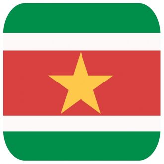 Bellatio Decorations Bierviltjes Suriname - 30x stuks - vierkant - landen thema - 9x9 cm