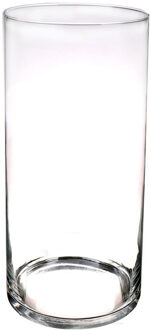 Bellatio Decorations Bloemenvaas basic - glas - H60 x D19 cm - Transparant - Vazen/vaas - Boeketvaas