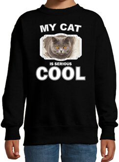 Bellatio Decorations Britse korthaar katten trui / sweater my cat is serious cool zwart voor kinderen 12-13 jaar (152/164)