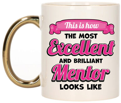 Bellatio Decorations Cadeau koffie/thee mok - excellent leraar/mentor - goud/roze - keramiek - 300 ml Goudkleurig