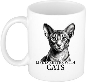 Bellatio Decorations Cadeau mok voor katten liefhebbers - Oosterse Korthaar - wit - keramiek - 300 ml