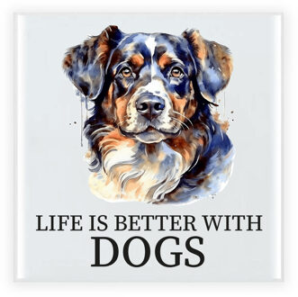 Bellatio Decorations Cadeau tegel hondenliefhebber - Border Collie hond - keramiek - waterverf - 15 x 15 cm Multi