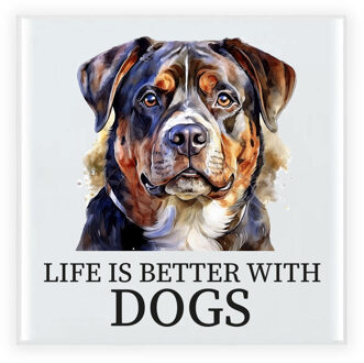 Bellatio Decorations Cadeau tegel hondenliefhebber - Rotweiler hond - keramiek - waterverf - 15 x 15 cm