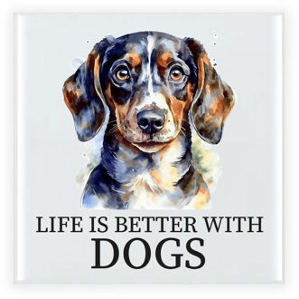 Bellatio Decorations Cadeau tegel hondenliefhebber - Teckel hond - keramiek - waterverf - 15 x 15 cm