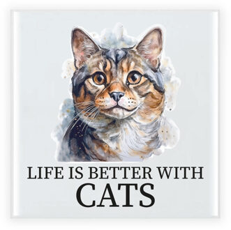 Bellatio Decorations Cadeau tegel kattenliefhebber - American Curl kat/poes - keramiek - waterverf - 15 cm