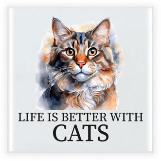 Bellatio Decorations Cadeau tegel kattenliefhebber - Maine Coon kat/poes - keramiek - waterverf - 15 cm Multi