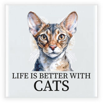 Bellatio Decorations Cadeau tegel kattenliefhebber - Sphynx kat/poes - keramiek - waterverf - 15 cm