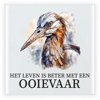 Bellatio Decorations Cadeau tegel voor de familie Ooievaar - het leven is beter met een Ooievaar - keramiek - waterverf - Wit