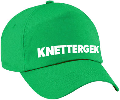 Bellatio Decorations Carnaval fun pet / cap knettergek groen voor dames en heren - Verkleedhoofddeksels Roze