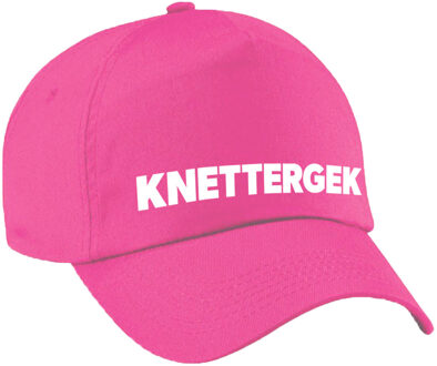 Bellatio Decorations Carnaval fun pet / cap knettergek roze voor dames en heren - Verkleedhoofddeksels