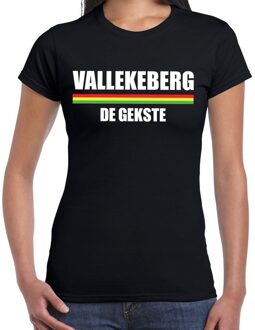 Bellatio Decorations Carnaval Vallekeberg de gekste t-shirt zwart voor dames