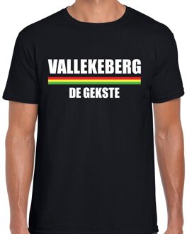 Bellatio Decorations Carnaval Vallekeberg de gekste t-shirt zwart voor heren 2XL