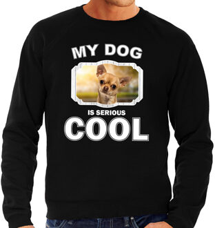 Bellatio Decorations Chihuahua honden trui / sweater my dog is serious cool zwart - heren - Chihuahuas liefhebber cadeau sweaters 2XL