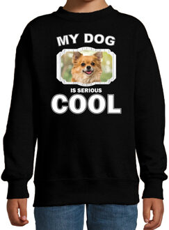 Bellatio Decorations Chihuahua honden trui / sweater my dog is serious cool zwart - kinderen - Chihuahuas liefhebber cadeau sweaters 12-13 jaar (152/164)