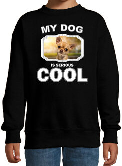 Bellatio Decorations Chihuahua honden trui / sweater my dog is serious cool zwart - kinderen - Chihuahuas liefhebber cadeau sweaters 12-13 jaar (152/164)