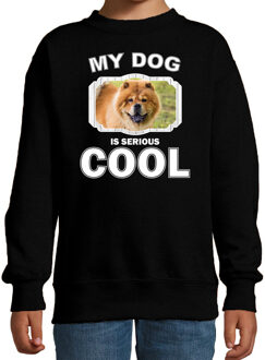 Bellatio Decorations Chow chow honden trui / sweater my dog is serious cool zwart - kinderen - Chow chows liefhebber cadeau sweaters 12-13 jaar (152/164)