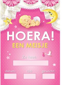 Bellatio Decorations Deur poster meisje geboren - Feestposters Multikleur