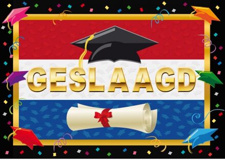 Bellatio Decorations Deurposter Geslaagd - 59 x 42 cm - Nederlandse vlag - diploma uitreiking - examenfeest Multi