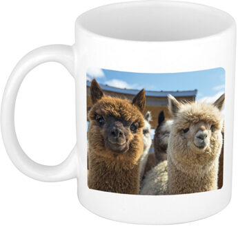 Bellatio Decorations Dieren alpaca foto koffiemok - 300 ml - cadeau beker / mok alpacas liefhebber Wit