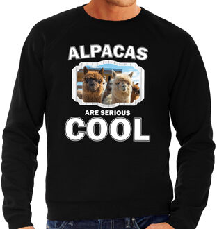 Bellatio Decorations Dieren alpacas sweater zwart heren - alpacas are serious cool trui - cadeau sweater alpaca/ alpacas liefhebber 2XL