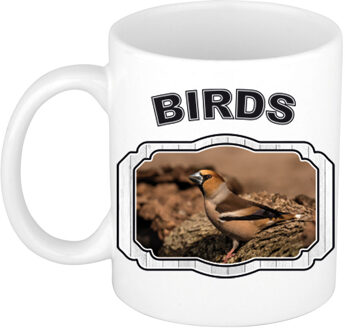 Bellatio Decorations Dieren appelvink vogel beker - birds/ vogels mok wit 300 ml