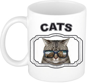 Bellatio Decorations Dieren coole poes beker - cats/ katten mok wit 300 ml