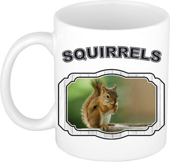 Bellatio Decorations Dieren eekhoorn beker - squirrels/ eekhoorns mok wit 300 ml - feest mokken