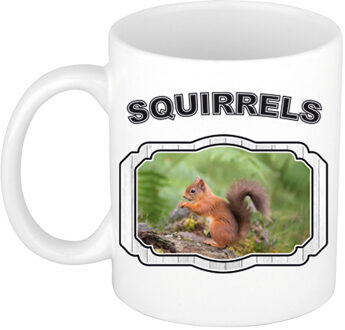 Bellatio Decorations Dieren eekhoorntje beker - squirrels/ eekhoorntjes mok wit 300 ml - feest mokken