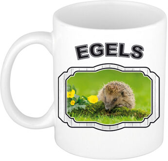 Bellatio Decorations Dieren egel beker - hedgehogs/ egels mok wit 300 ml