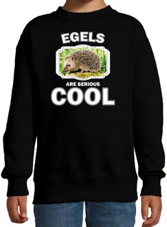 Bellatio Decorations Dieren egel sweater zwart kinderen - egels are cool trui jongens en meisjes