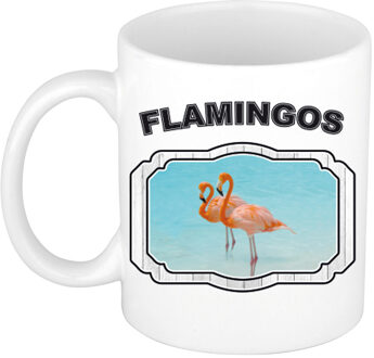 Bellatio Decorations Dieren flamingo beker - flamingos/ flamingo vogels mok wit 300 ml - feest mokken