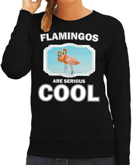 Bellatio Decorations Dieren flamingo vogels sweater zwart dames - flamingos are serious cool trui - cadeau sweater flamingo/ flamingo vogels liefhebber 2XL