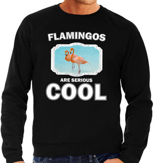 Bellatio Decorations Dieren flamingo vogels sweater zwart heren - flamingos are serious cool trui - cadeau sweater flamingo/ flamingo vogels liefhebber 2XL