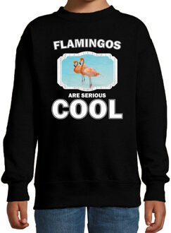 Bellatio Decorations Dieren flamingo vogels sweater zwart kinderen - flamingos are serious cool trui jongens/ meisjes - cadeau flamingo/ flamingo vogels liefhebber 12-13 jaar (152/164)