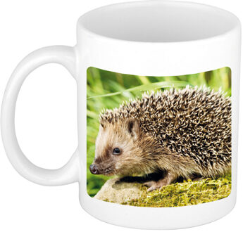 Bellatio Decorations Dieren foto koffiemok - Egel - drinkbeker - wit - keramiek - 300 ml