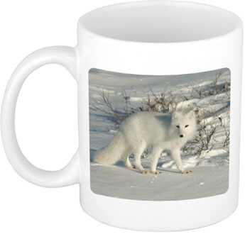Bellatio Decorations Dieren foto koffiemok - poolvos - vossen beker - wit - 300 ml - cadeau
