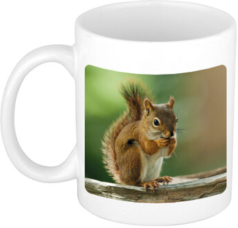 Bellatio Decorations Dieren foto mok eekhoorn - eekhoorns beker wit 300 ml