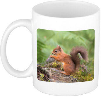 Bellatio Decorations Dieren foto mok eekhoorntje - eekhoorntjes beker wit 300 ml