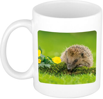 Bellatio Decorations Dieren foto mok egel - egels beker wit 300 ml
