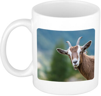 Bellatio Decorations Dieren foto mok geit - geiten beker wit 300 ml