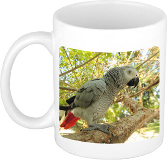 Bellatio Decorations Dieren foto mok grijze roodstaart papegaai - papegaaien beker wit 300 ml