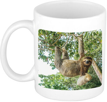 Bellatio Decorations Dieren foto mok hangende luiaard - luiaarden beker wit 300 ml