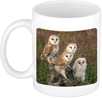 Bellatio Decorations Dieren foto mok kerkuil - uilen beker wit 300 ml - vogelaars