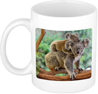 Bellatio Decorations Dieren foto mok koala - koalaberen beker wit 300 ml - feest mokken