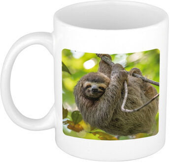 Bellatio Decorations Dieren foto mok luiaard - luiaards beker wit 300 ml