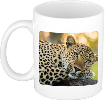 Bellatio Decorations Dieren foto mok luipaard - jaguars/ luipaarden beker wit 300 ml