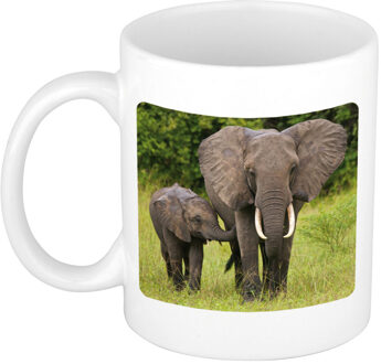 Bellatio Decorations Dieren foto mok olifant - olifanten beker wit 300 ml