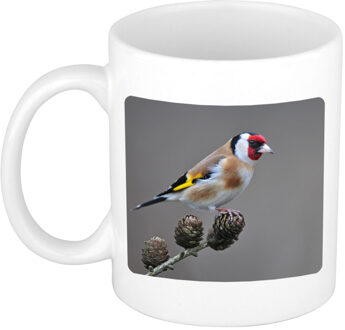 Bellatio Decorations Dieren foto mok putter vogel - vogels beker wit 300 ml
