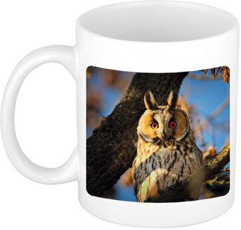 Bellatio Decorations Dieren foto mok ransuil - uilen beker wit 300 ml